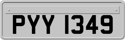 PYY1349