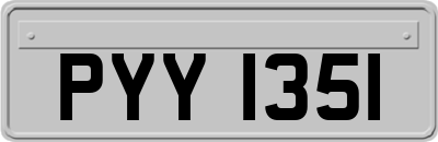 PYY1351