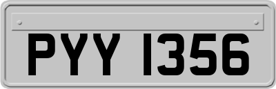 PYY1356