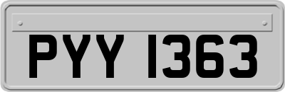 PYY1363