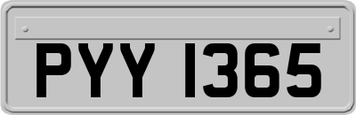 PYY1365