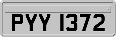 PYY1372