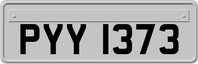 PYY1373