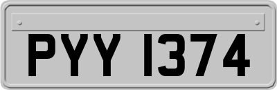 PYY1374