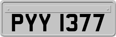 PYY1377
