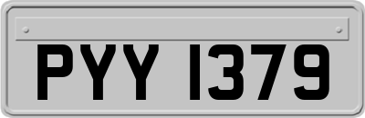 PYY1379
