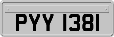 PYY1381