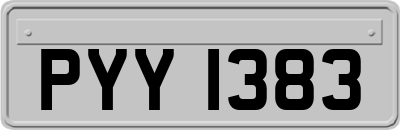 PYY1383