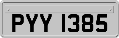 PYY1385