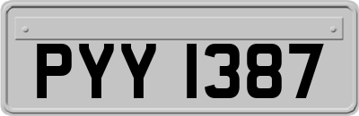PYY1387