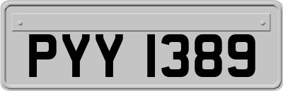PYY1389