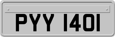 PYY1401