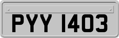 PYY1403