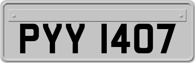 PYY1407