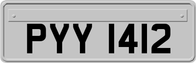 PYY1412