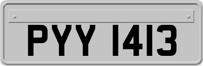 PYY1413