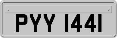 PYY1441