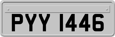 PYY1446