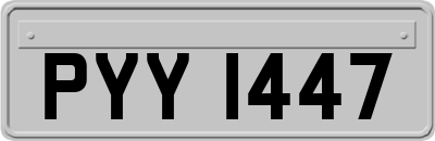 PYY1447