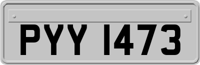 PYY1473