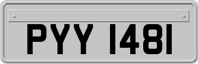 PYY1481