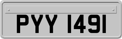 PYY1491
