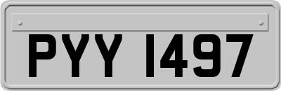 PYY1497