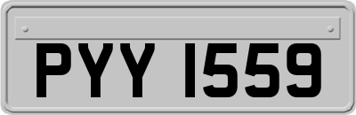 PYY1559