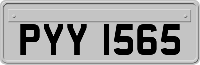 PYY1565