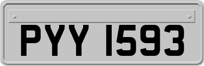 PYY1593