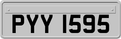 PYY1595