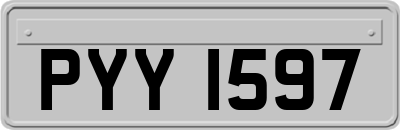PYY1597