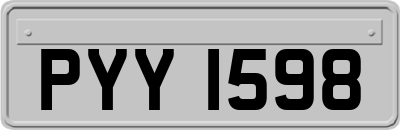 PYY1598