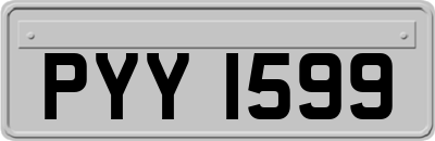 PYY1599