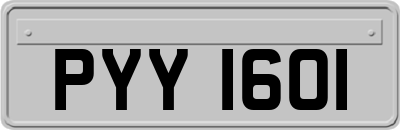 PYY1601