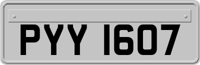 PYY1607