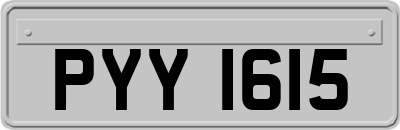 PYY1615
