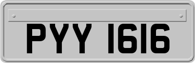 PYY1616