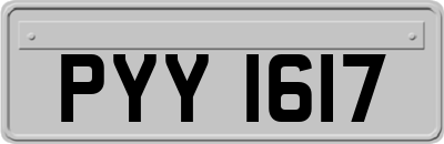 PYY1617