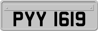 PYY1619