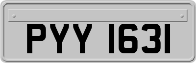 PYY1631