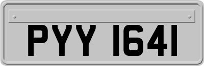PYY1641