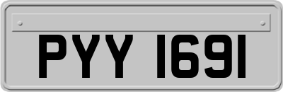 PYY1691