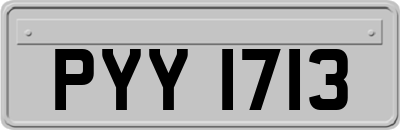 PYY1713