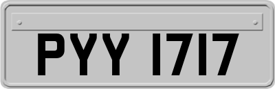 PYY1717