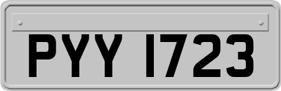 PYY1723