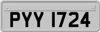 PYY1724