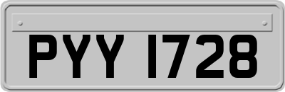 PYY1728