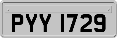 PYY1729