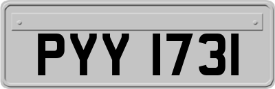 PYY1731